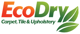 EcoDry carpet cleaners